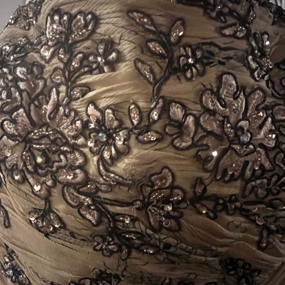 Rina diMontella Strapless Chiffon Gown in Cream and Silver, size 16W - Picture 5 of 11